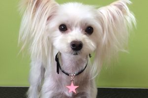 ８月のお友達☆