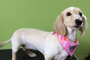 ８月のお友達☆