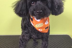 ８月のお友達☆