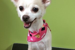 ８月のお友達☆