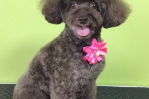 ８月のお友達☆