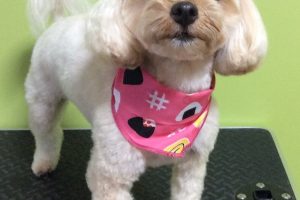 ８月のお友達☆