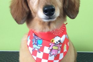 ８月のお友達☆