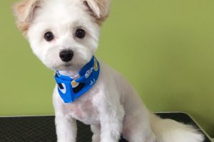 ８月のお友達☆