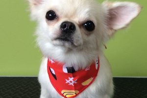 ８月のお友達☆