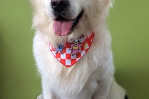 ８月のお友達☆