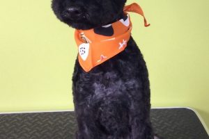 ８月のお友達☆