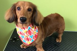 ８月のお友達☆