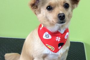 ８月のお友達☆