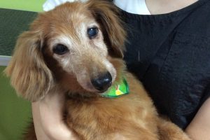 ８月のお友達☆