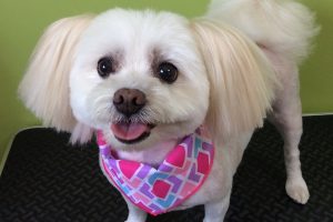 ８月のお友達☆