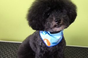 ８月のお友達☆