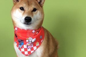 ８月のお友達☆