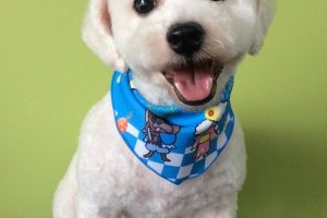 ８月のお友達☆