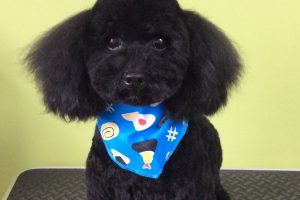 ８月のお友達☆