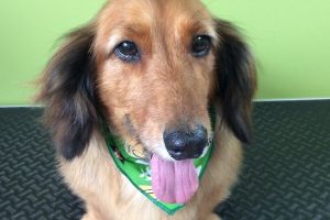 ８月のお友達☆