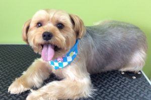 ８月のお友達☆