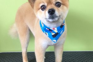 ８月のお友達☆