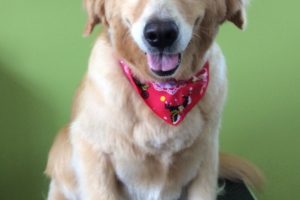 ８月のお友達☆