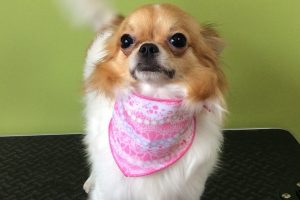 ８月のお友達☆