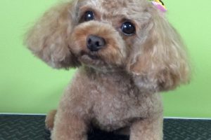 ８月のお友達☆