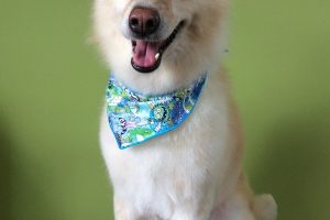 ８月のお友達☆