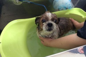 ８月のお友達☆