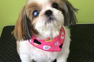 ８月のお友達☆