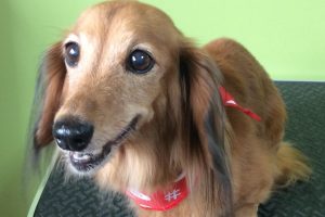 ８月のお友達☆