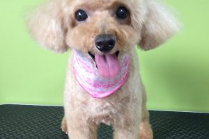 ８月のお友達☆