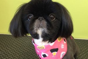 ８月のお友達☆