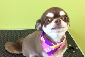 ８月のお友達☆