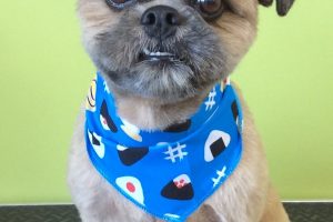 ８月のお友達☆