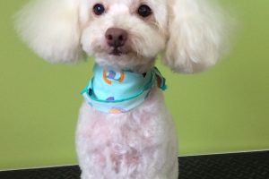 ９月のお友達☆