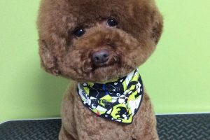 ９月のお友達☆