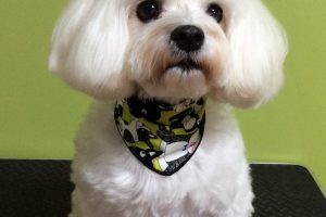 ９月のお友達☆