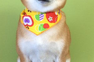 ９月のお友達☆