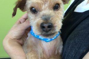 ９月のお友達☆