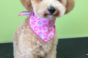 ９月のお友達☆