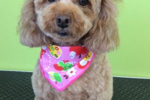 ９月のお友達☆