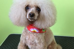 ９月のお友達☆