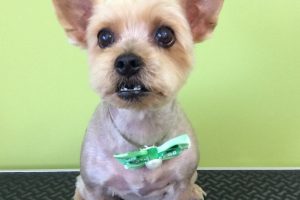 ９月のお友達☆