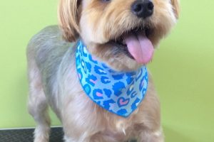 ９月のお友達☆