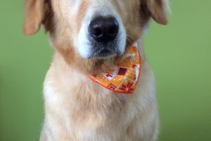 ９月のお友達☆