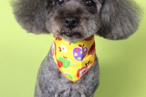 ９月のお友達☆