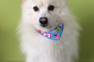 ９月のお友達☆