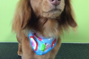 ９月のお友達☆