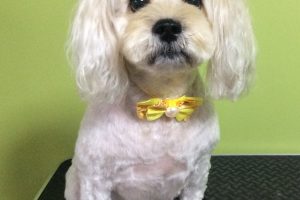 ９月のお友達☆