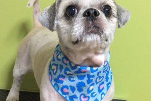 ９月のお友達☆