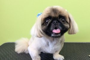 ９月のお友達☆